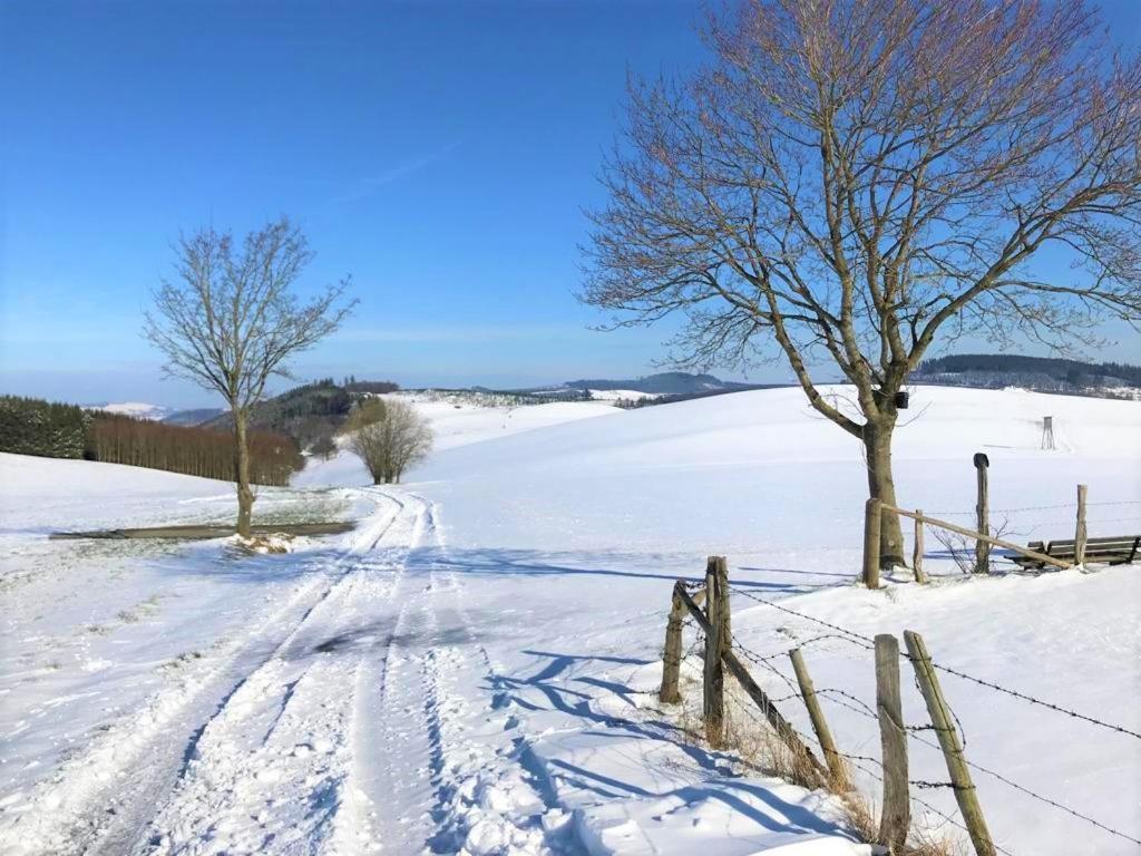 Sauerlaender Henne-Luett Vila Meschede Exterior foto